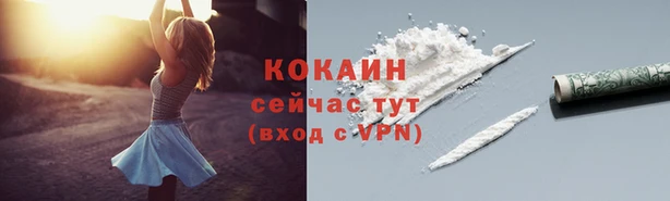 прущие крисы Покачи